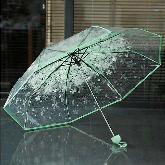 Transparent Umbrella