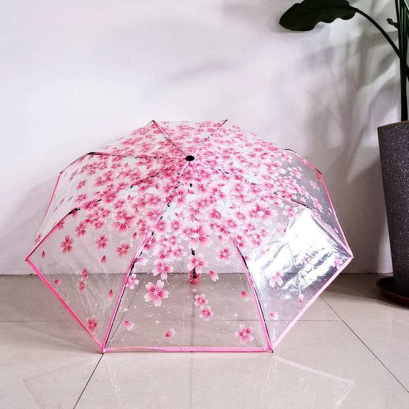 Transparent Umbrella