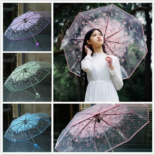 Transparent Umbrella