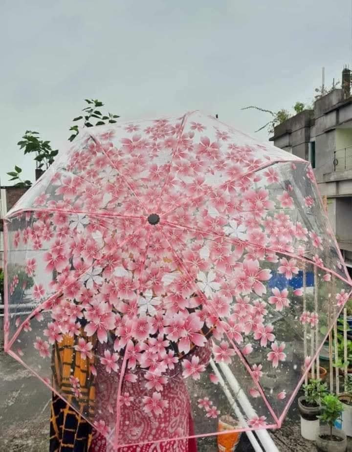 sakura umrella