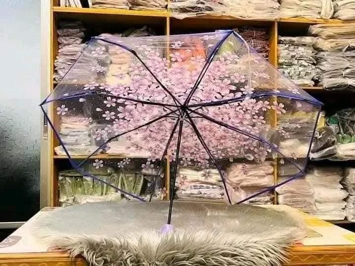 sakura umrella